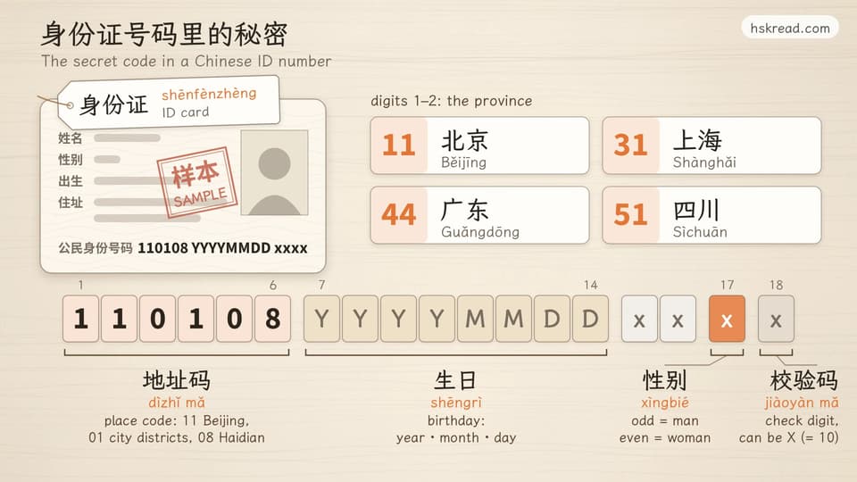 A sample Chinese ID card stamped 样本 SAMPLE above an 18-digit strip with placeholder digits 110108 YYYYMMDD x x x x: digits 1–6 are the place code (11 Beijing, 01 city districts, 08 Haidian), digits 7–14 the birthday (year, month, day), digit 17 is odd for men and even for women, and digit 18 is a check digit that can be X; beside the card, province codes 11 Beijing, 31 Shanghai, 44 Guangdong and 51 Sichuan