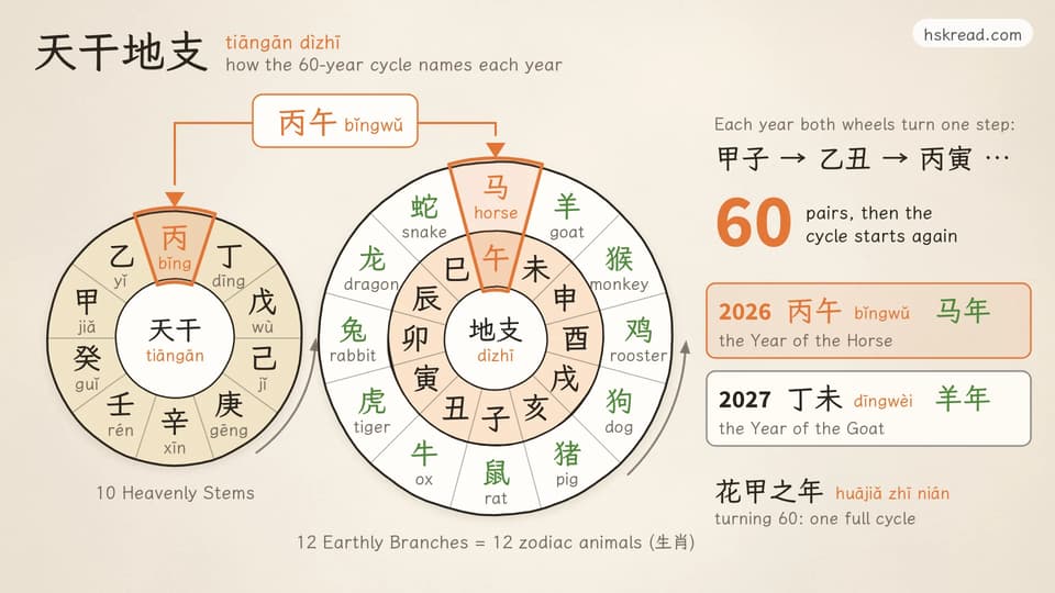 Two hand-drawn wheels. The left wheel holds the 10 Heavenly Stems, 天干 tiāngān, from 甲 jiǎ to 癸 guǐ; the right wheel holds the 12 Earthly Branches, 地支 dìzhī, from 子 to 亥, each with its zodiac animal, from 鼠 rat to 猪 pig. A window at the top of each wheel shows 丙 and 午, which together make 丙午 bǐngwǔ. Notes on the right: each year both wheels turn one step, 甲子 → 乙丑 → 丙寅; after 60 pairs the cycle starts again; 2026 is 丙午, 马年, the Year of the Horse, and 2027 is 丁未, 羊年, the Year of the Goat; turning 60 is 花甲之年 huājiǎ zhī nián