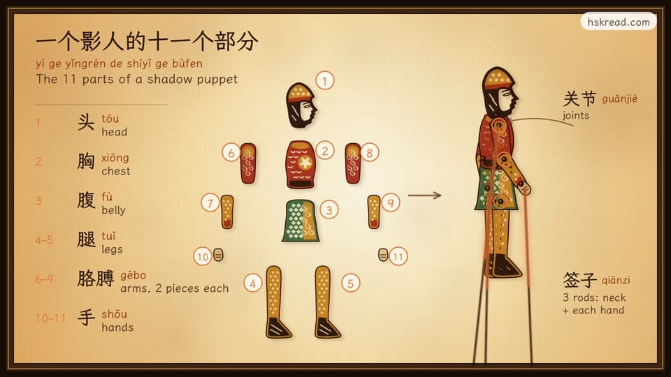 A Chinese shadow puppet taken apart into its 11 numbered leather pieces: head, chest, belly, two legs, four arm pieces and two hands, with Chinese labels and pinyin; next to it the same puppet put together, with its joints circled and three rods, one at the neck and one at each hand