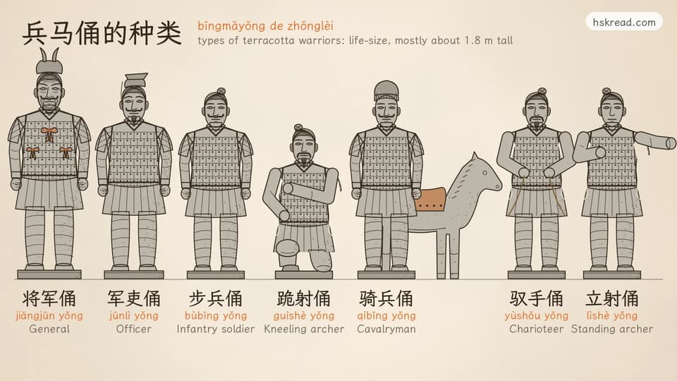 Seven terracotta warriors in gray line art standing in a row, each labelled in Chinese, pinyin and English: 将军俑 jiāngjūn yǒng, General, the tallest, with a special hat and ribbons on his armor; 军吏俑 jūnlì yǒng, Officer, with a flat hat; 步兵俑 bùbīng yǒng, Infantry soldier, with his hair in a bun and no helmet; 跪射俑 guìshè yǒng, Kneeling archer, down on one knee with both hands at his side; 骑兵俑 qíbīng yǒng, Cavalryman, in a small cap next to a saddled horse; 驭手俑 yùshǒu yǒng, Charioteer, with both arms forward holding the reins; and 立射俑 lìshè yǒng, Standing archer, one arm stretched out as if taking aim