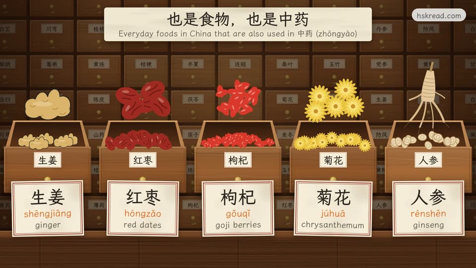 Five open drawers from an old Chinese pharmacy cabinet, each holding an everyday food that is also used in Chinese medicine: ginger (生姜), red dates (红枣), goji berries (枸杞), chrysanthemum flowers (菊花) and ginseng (人参)
